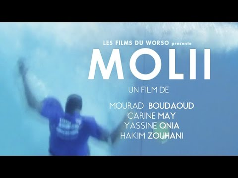 Foto 1 de Molii