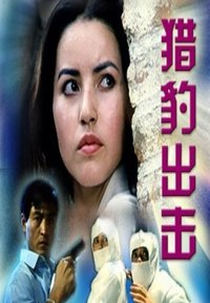 Cheetah in Action (猎豹出击)