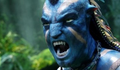 Fox anuncia três sequências de AVATAR para chegar aos cinemas a partir de 2016 |