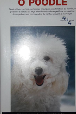 Vídeos 4 Patas: O Poodle (Vídeos 4 Patas: O Poodle)