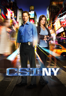 CSI: Nova Iorque (9ª temporada) (CSI: NY (Season 9))