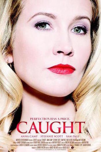 Poster de Filme Amante Sequestrada (2015)