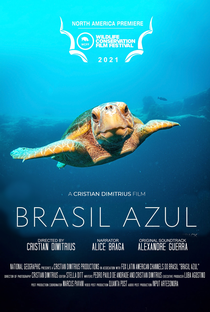 Brasil Azul - Poster / Capa / Cartaz - Oficial 1