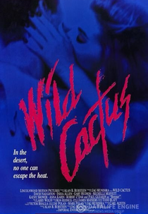 Wild Cactus (Wild Cactus)