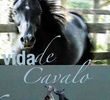 Vida de Cavalo