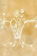 Deus te dê boa sorte (Deus te dê boa sorte)