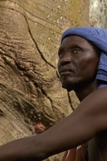 Ilhas Bijagós, Nas Ilhas Misteriosas da África Ocidental (Ilhas Bijagós, Nas Ilhas Misteriosas da África Ocidental)