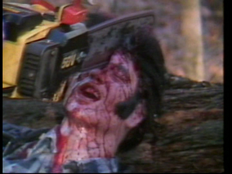 Foto 1 de Savage Vengance