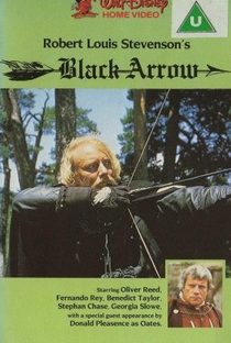 A Flecha Negra - Poster / Capa / Cartaz - Oficial 1