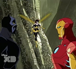 Panther's Quest