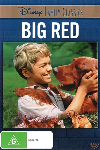  de Filme Astúcia de um Rebelde (1962)