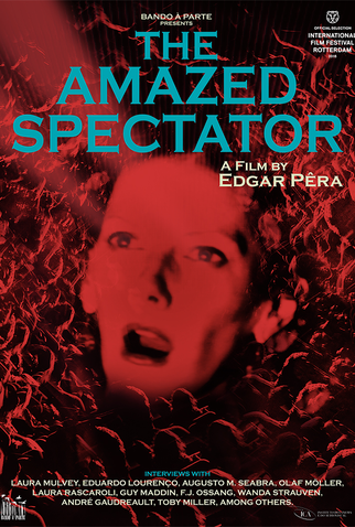 Poster 1 de Filme O Espectador Espantado (2016)