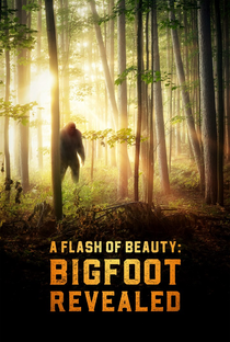 A Flash of Beauty: Bigfoot Revealed - Poster / Capa / Cartaz - Oficial 1