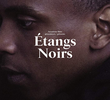 Étangs Noirs
