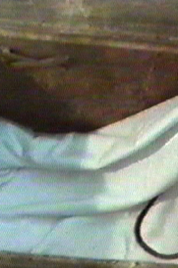 Poster de Curta Nordeste (1981)