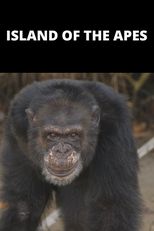 Planeta dos Macacos - O Confronto Apresenta - Island of The Apes (Dawn of The Planet of The Apes Presents - Island of The Apes)