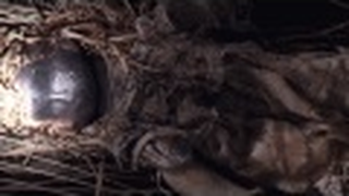 Trailer: The Wicker Man - Trailer