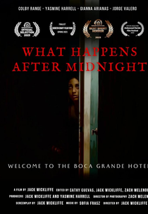 What Happens After Midnight (What Happens After Midnight)