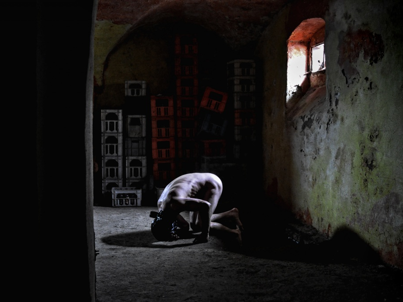 Foto 4 de To kill a beaver