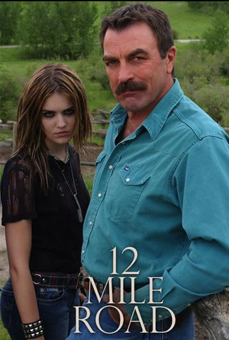 Poster 1 de Filme Um Caminho para Dois (2003)