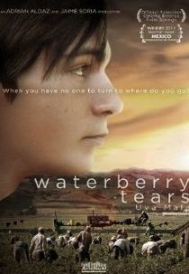 Waterberry Tears (Waterberry Tears)