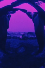 Looney Lens: Pas de deux (Looney Lens: Pas de deux)