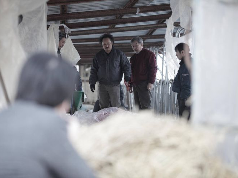 Foto 5 de Stray Dogs