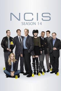 NCIS: Investigações Criminais (14ª Temporada) - Poster / Capa / Cartaz - Oficial 2
