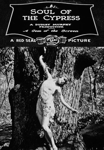 The Soul of the Cypress (The Soul of the Cypress)