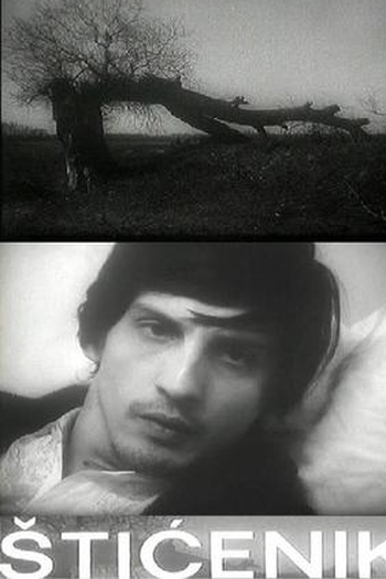 Poster de Curta Sticenik (1973)