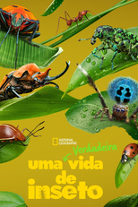 Uma Verdadeira Vida de Inseto (1ª Temporada) (A Real Bug's Life (Season 1))