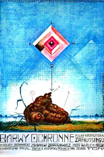 Poster de Filme Camuflagem (1976)