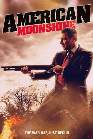 Poster 1 de Filme Black Cat Whiskey (2013)