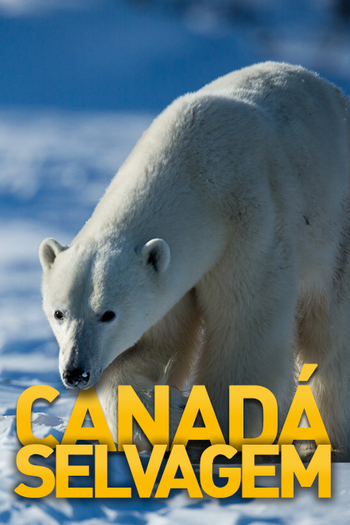Poster de Série Canadá Selvagem (2014)