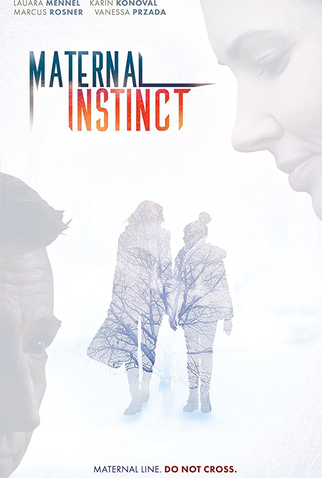 Poster 1 de Filme Testemunha em perigo (2017)