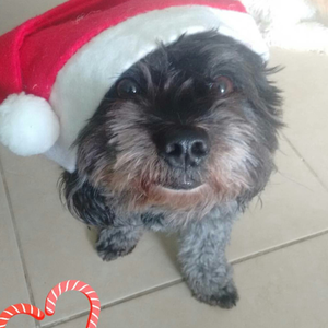 Foto de perfil de David