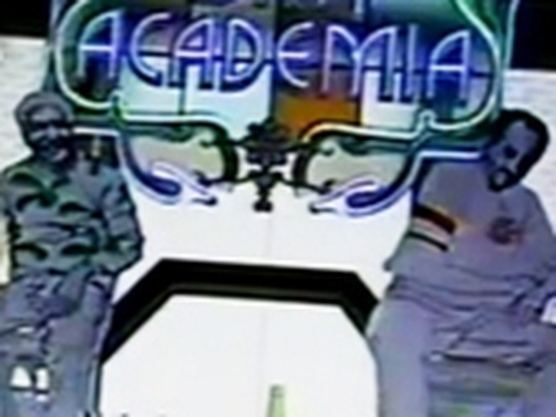 Foto 2 de Programa Bar Academia