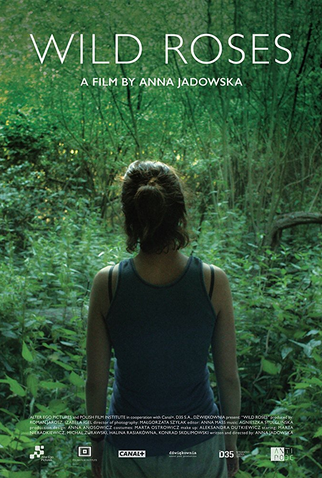 Poster 1 de Filme Rosas Selvagens (2017)