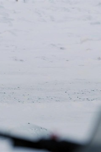 Poster de Episódio Cold Catch (2022)