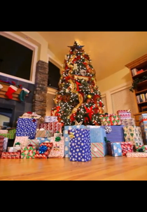 Puppy Christmas (Puppy Christmas)