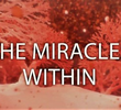 The Miracles Within