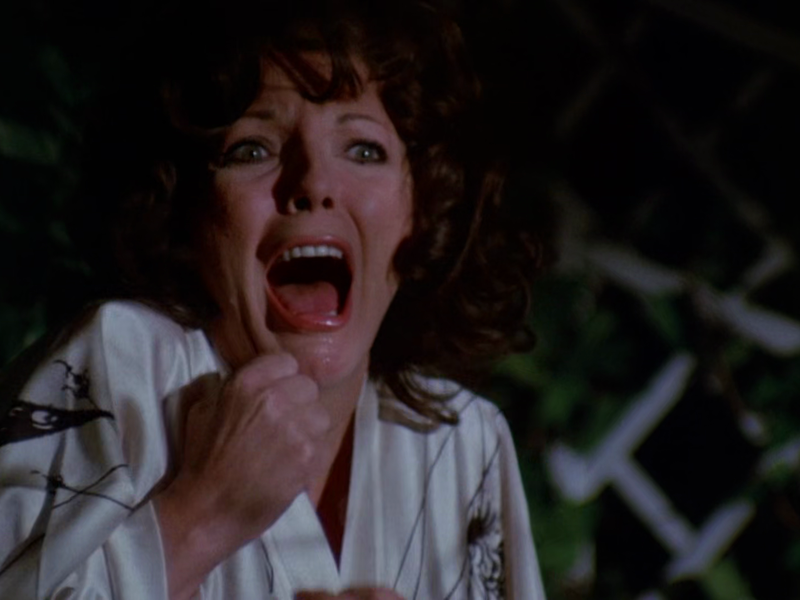 Foto 8 de O Filho do Demônio