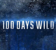 Desafio Selvagem: 100 Dias no Alasca