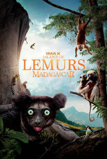 Ilha dos lêmures - Madagascar - Poster / Capa / Cartaz - Oficial 3