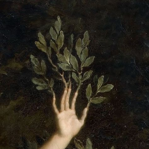 Foto de perfil de Débora M