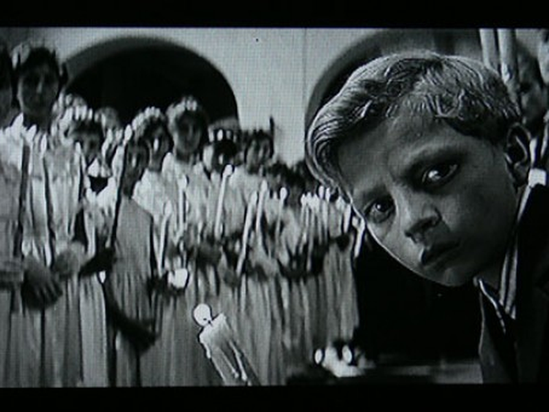 Foto 8 de Viva a República