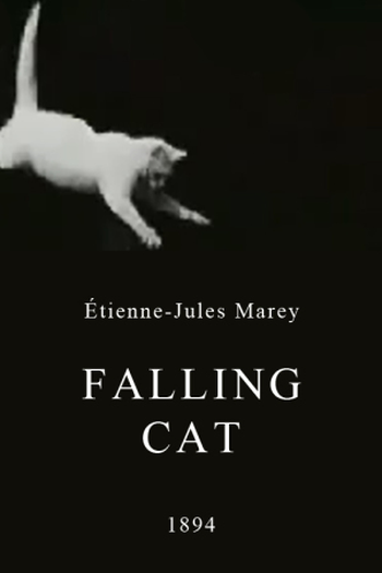 Poster de Curta Falling Cat (1894)