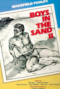 Boys in the Sand II - Poster / Capa / Cartaz - Oficial 1