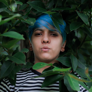 Foto de perfil de Brenda Behncke