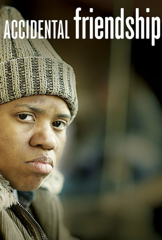 Poster 3 de Filme Accidental Friendship (2008)